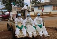 Ebola: 1,4 million de cas d'ici janvier si rien n'est fait
