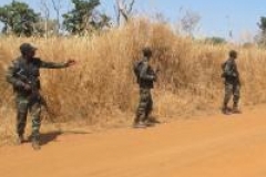 Le Cameroun aurait tué une centaine de combattants de Boko Haram