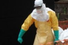 L'Ebola présent en Guinée est une nouvelle souche